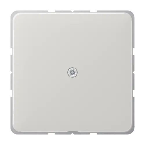 JUNG CD 590 A LG centraalplaat met snoerinvoer en draagring CD500 lichtgrijs