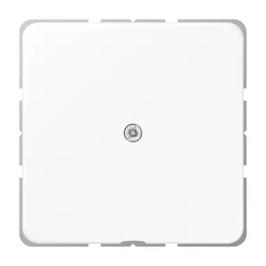 JUNG CD 590 A WW centraalplaat met snoerinvoer en draagring CD500 alpine wit