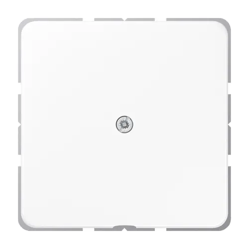 JUNG CD 590 A WW centraalplaat met snoerinvoer en draagring CD500 alpine wit