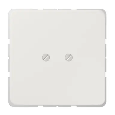 JUNG CD 561 BLG centraalplaat blinddeksel geschroefd incl. draagframe CD500 lichtgrijs