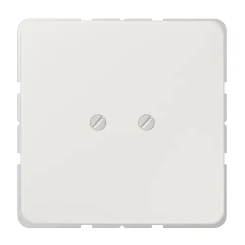 JUNG CD 561 BLG centraalplaat blinddeksel geschroefd incl. draagframe CD500 lichtgrijs