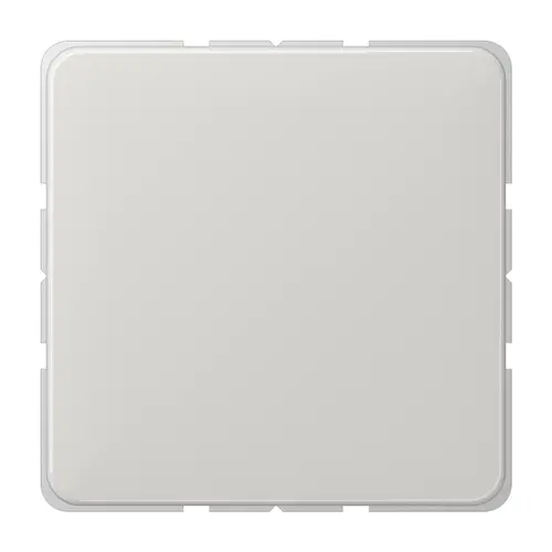 JUNG CD 594-0 LG centraalplaat blinddeksel incl. draagframe CD500 lichtgrijs