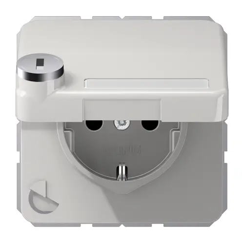 JUNG CD 1520 NNAKLSL LG wandcontactdoos randaarde Safety+ klapdeksel tekstvenster slot CD500 lichtgrijs