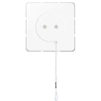 JUNG Z 506 NUZ VWW trekschakelaar wissel zonder afdekraam CD500 alpine wit