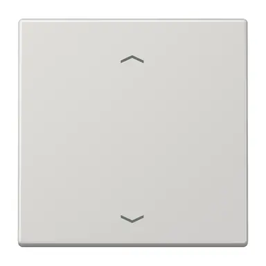 JUNG ENO LS 990 P LG EnOcean draadloze wandzender 2-kanaals met pijlsymbolen LS990 lichtgrijs