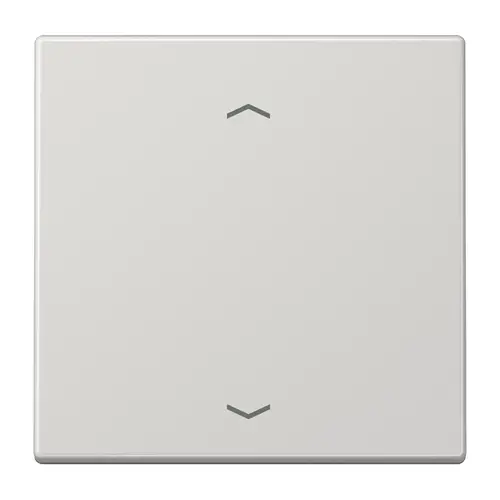 JUNG ENO LS 990 P LG EnOcean draadloze wandzender 2-kanaals met pijlsymbolen LS990 lichtgrijs