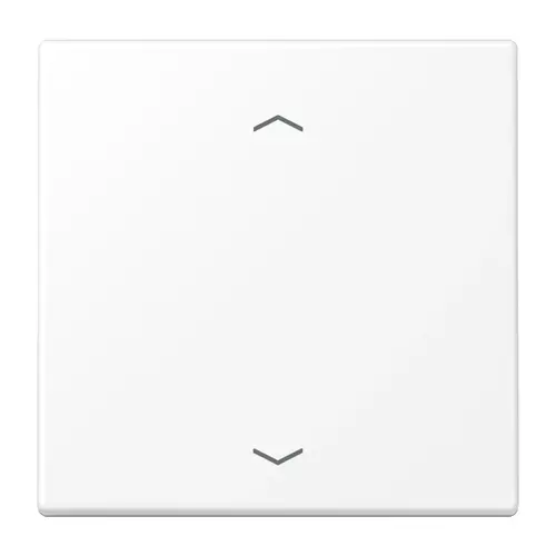 JUNG ENO LS 990 P WWM EnOcean draadloze wandzender 2-kanaals met pijlsymbolen LS990 sneeuwwit mat