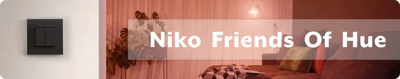 Niko Friends of Hue