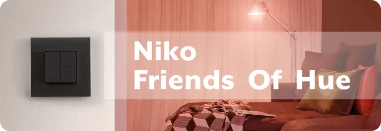 Niko Friends of Hue