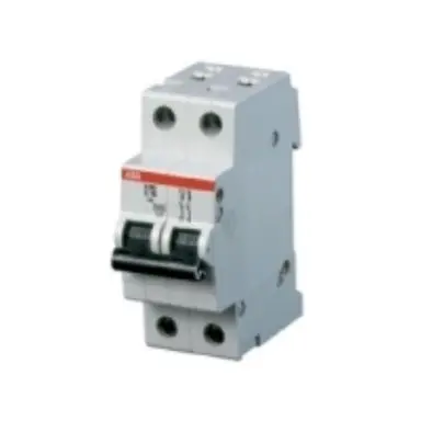 ABB S202-C2 Installatieautomaat C-kar 2P 4