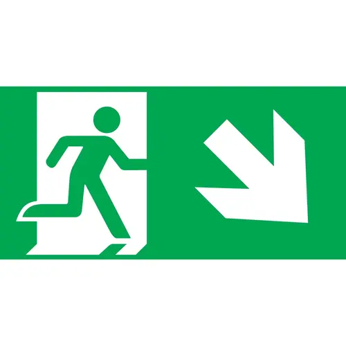 Intelight 39980/OR1 pictogram 300x100