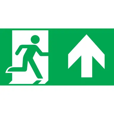 Intelight 98007/OR6 pictogram 300x100