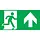 Intelight 98007/OR6 pictogram pijl boven