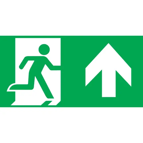 Intelight 98007/OR6 pictogram 300x100
