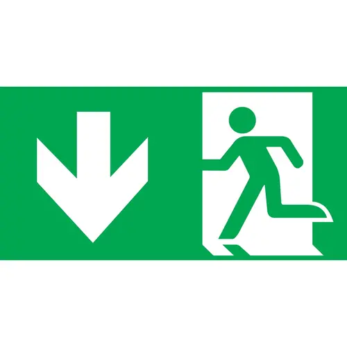 Intelight 97998/E9 pictogram E9/97998 300x150