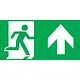 Intelight E10-97997 pictogram rechtdoor 150x297mm