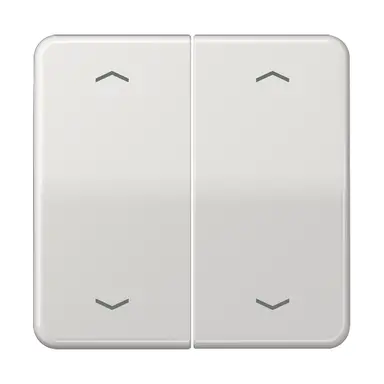 JUNG CD 595 MP LG schakelwip 2-voudig met pijlsymbolen CD500 lichtgrijs