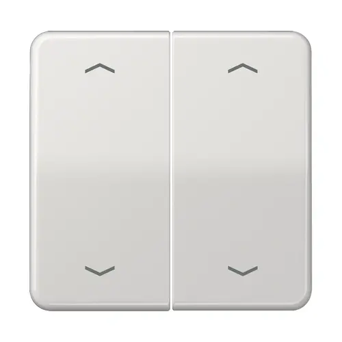 JUNG CD 595 MP LG schakelwip 2-voudig met pijlsymbolen CD500 lichtgrijs