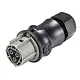 Wieland RST25I3S B1 ZR2S BG0 rst25i3 kabelsteker female be