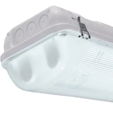 Zalux ACQUA 2583 HF DM TL-armatuur 2 x 58 W excl. lichtbron 150 cm IP66 grijs