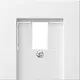 Gira 037603 centraalplaat voor USB-voeding PD System 55 wit glans