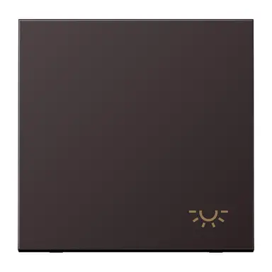 JUNG AL 2990 L D schakelwip met lichtsymbool LS990 dark gelakt aluminium