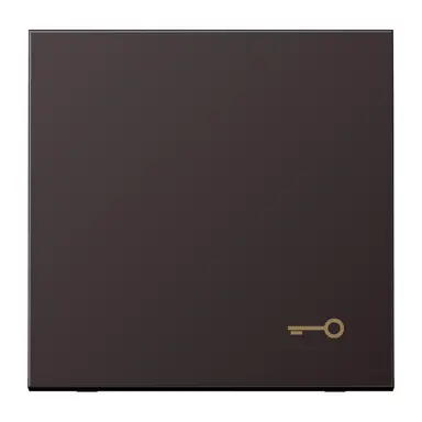 JUNG AL 2990 T D schakelwip met sleutelsymbool LS990 dark gelakt aluminium