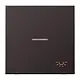 JUNG AL 2990 KO5 L D schakelwip met lichtsymbool en controlevenster LS990 dark gelakt aluminium