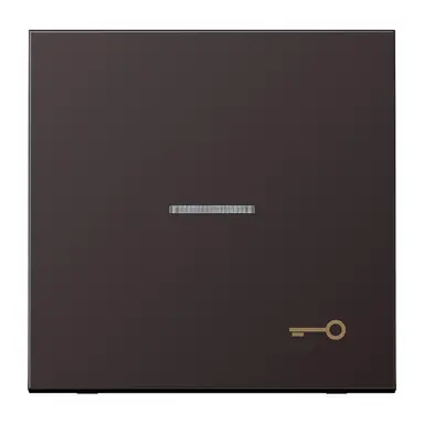 JUNG AL 2990 KO5 T D schakelwip met sleutelsymbool en controlevenster LS990 dark gelakt aluminium