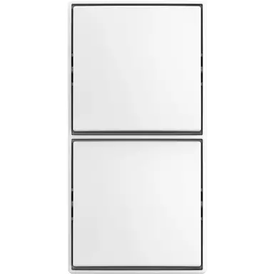 Busch-Jaeger 2601/6/2601/6 APJ-524 dubbele wisselschakelaar opbouw Balance AP wit