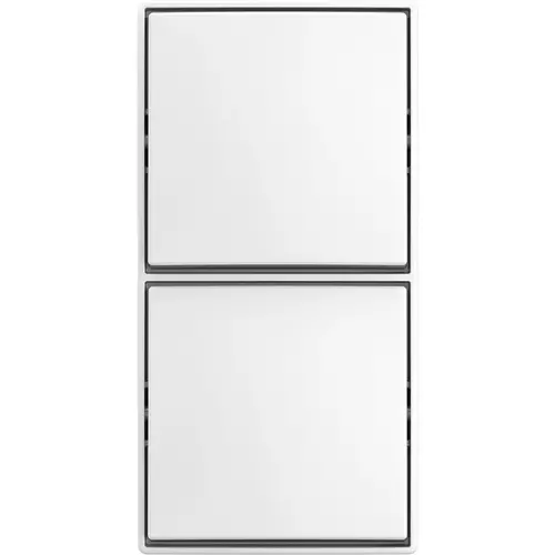 Busch-Jaeger 2601/6/2601/6 APJ-524 dubbele wisselschakelaar opbouw Balance AP wit