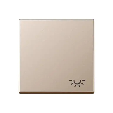 JUNG A 590 L CH schakelwip met lichtsymbool A-range champagne