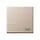 JUNG A 590 L CH schakelwip met lichtsymbool A-range champagne