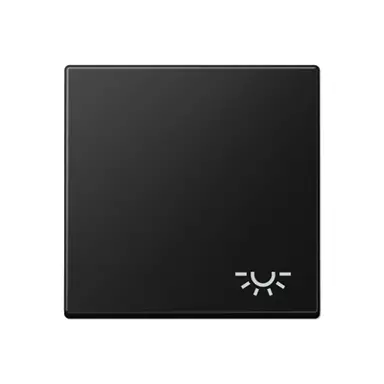 JUNG A 590 L SWM schakelwip met lichtsymbool A-range grafietzwart mat