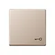 JUNG A 590 T CH schakelwip met sleutelsymbool A-range champagne