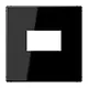 JUNG LS 1969 USB SW centraalplaat USB-lader met klikbevestiging LS990 zwart