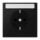 JUNG LS 1520 NNA SWM wandcontactdoos randaarde tekstvenster LS990 grafietzwart mat