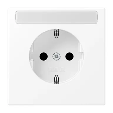 JUNG LS 1520 NNA WWM wandcontactdoos randaarde tekstvenster LS990 sneeuwwit mat