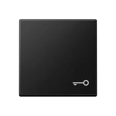 JUNG A 590 T SWM schakelwip met sleutelsymbool A-range grafietzwart mat