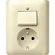 Gira 017601 combinatie schakelaar en wandcontactdoos randaarde Standaard 55 creme glans