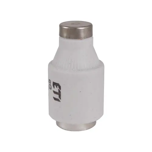 ETI 416611010 zekering 500V 63A sn D3