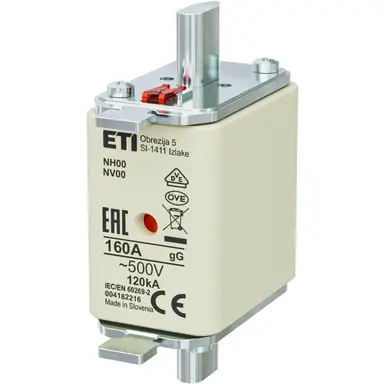 ETI 416800016 mespatroon zekeringnh00 glgg 160a 500v ck