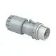 PCE 082-12V CEE-contactstop 2-polig 16A 40-50 V 12h IP44 wit