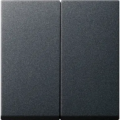 Gira 029528 schakelwip 2-voudig Systeem 55 antraciet mat oud model