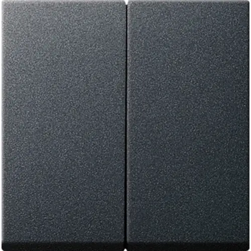 Gira 029528 schakelwip 2-voudig Systeem 55 antraciet mat oud model