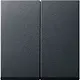 Gira 029528 schakelwip 2-voudig Systeem 55 antraciet mat oud model