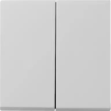 Gira 0295015 schakelwip 2-voudig Systeem 55 grijs mat oud model