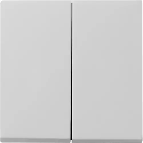 Gira 0295015 schakelwip 2-voudig Systeem 55 grijs mat oud model