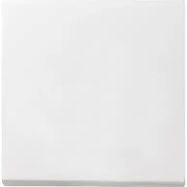 Gira 029627 schakelwip Systeem 55 wit mat oud model