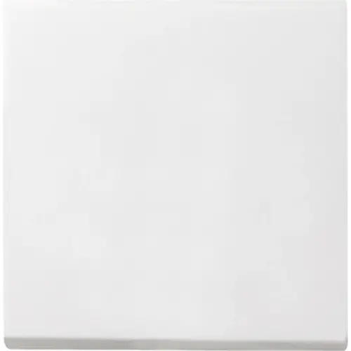 Gira 029627 schakelwip Systeem 55 wit mat oud model